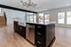 313 Lincoln, Schaumburg, IL 60194
