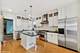 316 N Scoville, Oak Park, IL 60302