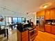 900 N Lake Shore Unit 1707, Chicago, IL 60611