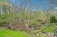 11702 Center, Lemont, IL 60439