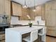 867 N Marshfield Unit 3, Chicago, IL 60622