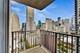 2 E Erie Unit 3102, Chicago, IL 60611