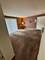 4917 W 109th Unit 103, Oak Lawn, IL 60453