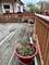 7835 S Laflin, Chicago, IL 60620