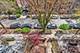 3708 N Greenview, Chicago, IL 60613