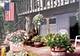 23460W N Lakewood, Lake Zurich, IL 60047