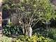 10904 S Central Park, Chicago, IL 60655