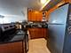 3420 N Lake Shore Unit 17LM, Chicago, IL 60657