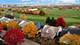 21312 W Redwood, Plainfield, IL 60544