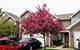 1373 Grayshire, Elgin, IL 60120