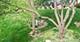 1373 Grayshire, Elgin, IL 60120