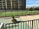 6033 N Sheridan Unit 4G, Chicago, IL 60660