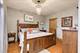 907 South Unit 2, Oak Park, IL 60302
