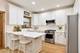 907 South Unit 2, Oak Park, IL 60302