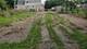 3516 W Chicago, Chicago, IL 60651