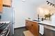 2057 N Seminary Unit 1B, Chicago, IL 60614
