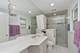1093 Bob O Link, Highland Park, IL 60035