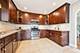 1420 Oakton, Park Ridge, IL 60068