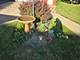 242 N Lord, Carpentersville, IL 60110