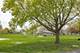 242 N Lord, Carpentersville, IL 60110