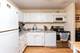 899 S Plymouth Unit 1705, Chicago, IL 60605