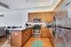 1464 S Michigan Unit 1510, Chicago, IL 60605