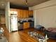 1620 S Michigan Unit 1016, Chicago, IL 60616