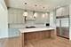 1060 Cedar, Northbrook, IL 60062