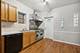 1439 W Lexington, Chicago, IL 60607