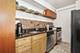 30 E Elm Unit 14B, Chicago, IL 60611