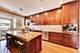 918 Michigan Unit 3, Evanston, IL 60202