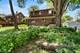1055 Glenwood, Joliet, IL 60435