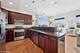 1717 W Newport Unit 5, Chicago, IL 60657