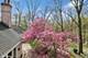 821 Chatfield, New Lenox, IL 60451