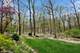 821 Chatfield, New Lenox, IL 60451