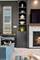 1733 N Drake, Chicago, IL 60647