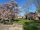 426 Root, Park Ridge, IL 60068