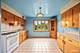 33 Chestnut, Clarendon Hills, IL 60514