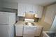 125 S Leavitt Unit B, Chicago, IL 60612
