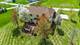5N815 W Sunset Views, St. Charles, IL 60175