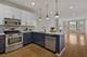 1151 E 45th Unit 1151, Chicago, IL 60653