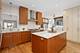 1757 N Paulina Unit N, Chicago, IL 60622