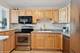 1660 N Lasalle Unit 1309, Chicago, IL 60614