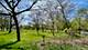 1105 Leonard, Evanston, IL 60201