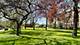 1105 Leonard, Evanston, IL 60201