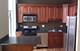 1612 W 17th Unit 3, Chicago, IL 60608