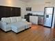 1620 S Michigan Unit 813, Chicago, IL 60616