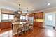 258 N Maple, Elmhurst, IL 60126