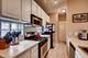 1235 N Orleans Unit 703, Chicago, IL 60610