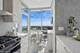 1201 S Prairie Unit 4606, Chicago, IL 60605